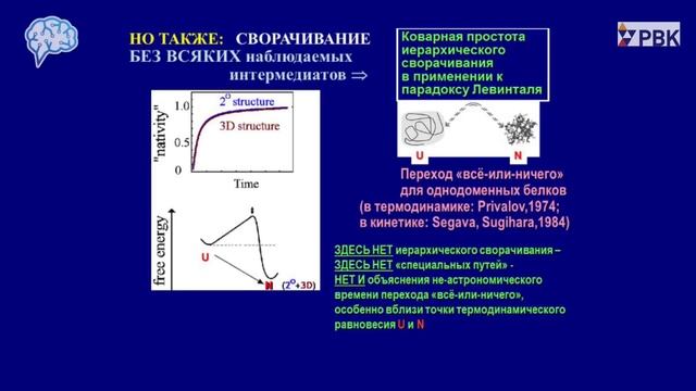 Финкельштейн А.В. Проблема самоорганизации белковых молекул