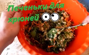 Рецепт печенья для морских свинок