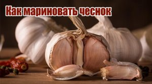 Как мариновать чеснок.