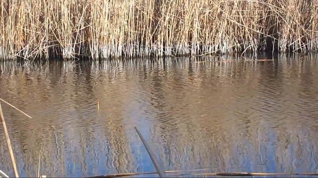 Рыбалка в интересном месте оказалась… смотреть онлайн