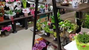 Брест. Краткий обзор " цветы JARDAN FLOR  . Покупка гортензии.