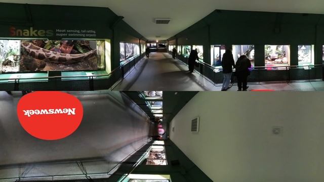 Harry Potter - 360° Video Of London Filming Locations
