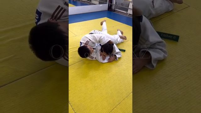 Judo Ne-Waza Kata-Gatame, Sode-Guruma-Jime, ORTUS.KZ. Дзюдо перевод на удержание и удушающий приём.