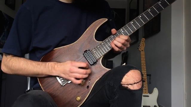 Scar Symmetry - Limits To Infinity Solo Cover - Gus Whittaker - Per Nilsson // BIAS FX смотреть онлайн