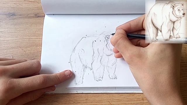 Как нарисовать Медведя ? смотреть онлайн