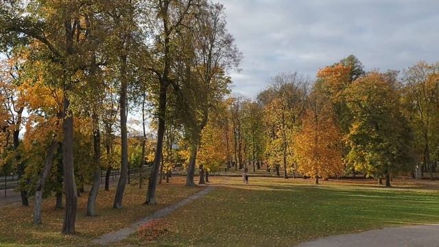 Эстония.Парк Кадриорг.Таллин осенью.Что я ем.Наш обед.Пробуем хлеб и арбуз.Дела домашние