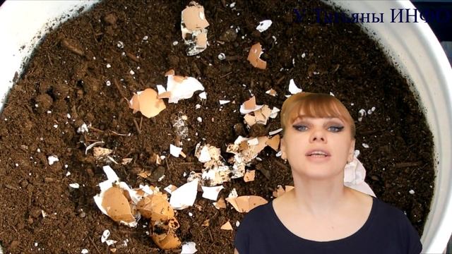 Безотходное производство — ИДЕАЛЬНОЕ УДОБРЕНИЕ для комнатных и огородных растений!!! смотреть онлайн