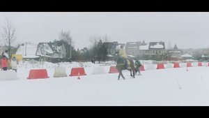 1-й в России турнир по скиджорингу - КСК Дивный (18.02.2017). Часть 3