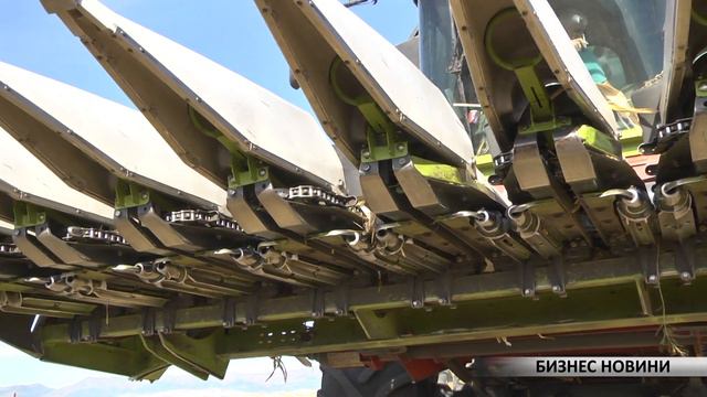 Бизнес Новини: Коледна промоция при закупуване на зеленчукови семена смотреть онлайн