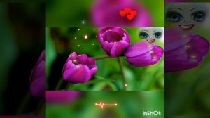 Доброго весеннего вечера!