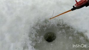 Рыбалка на хариуса зимой