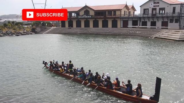 12 things to do in Wellington New Zealand смотреть онлайн