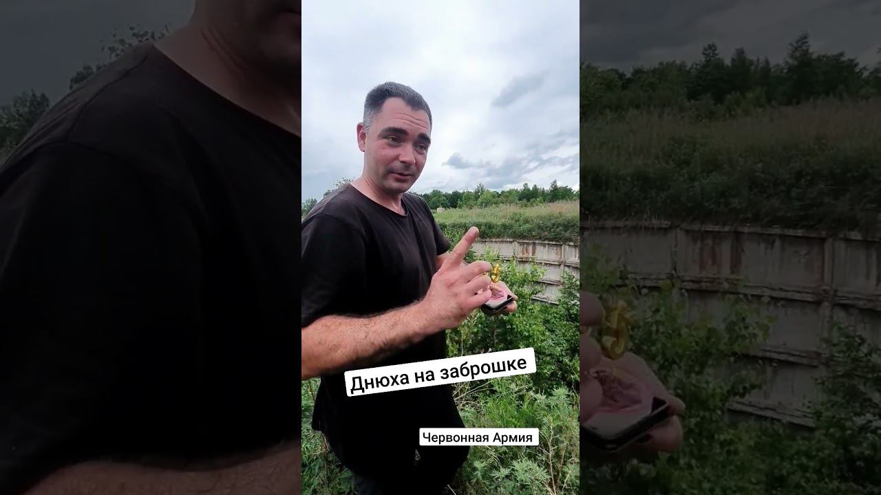 #shorts #деньрождения #сталкер позаброшкам
