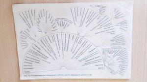Описание диаграммы причин. Часть 2. Как работать с каждым пунктом.