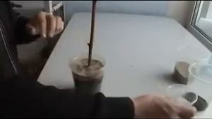 Размножение винограда черенками