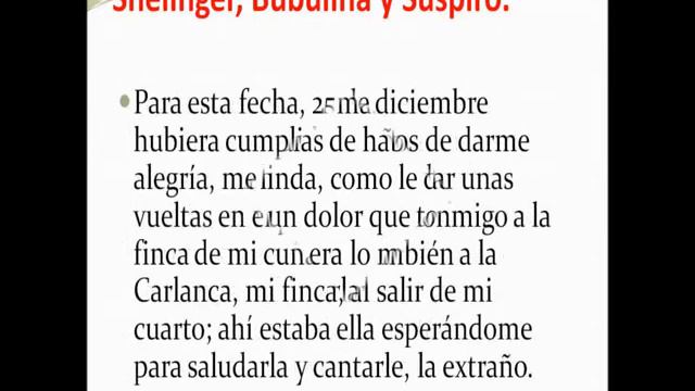 ARHIVO DR INCER El Suspiro, El Shelinger y la Bubulina смотреть онлайн