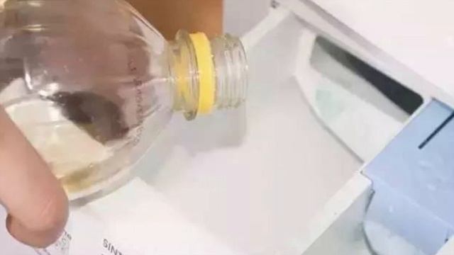 Плесень в стиральной машине. Вот как просто её удалить своими руками смотреть онлайн