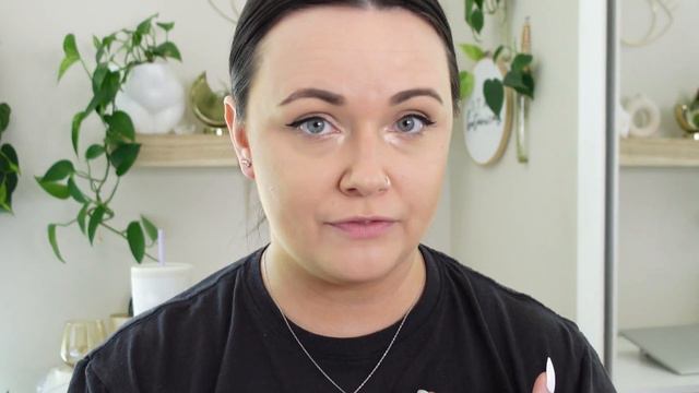 Everything You Need To Know About Air Plants  Complete Tillandsia Care Guide  Houseplant Care