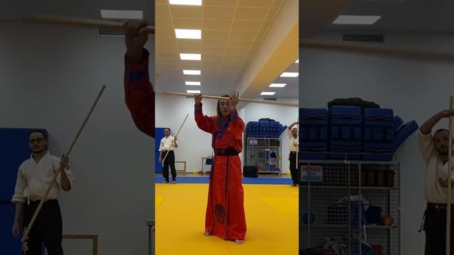 Forward / Rear Rotations with Jangbong (Staff) by Hwa Rang Do® Grandmaster Taejoon Lee смотреть онлайн