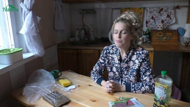 Посевы в декабре: садовые цветы, которые пора сеять, и сорта овощей для домашнего огорода - 7 дач