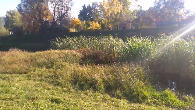 Солнечный день 14 октября 2018 года смотреть онлайн