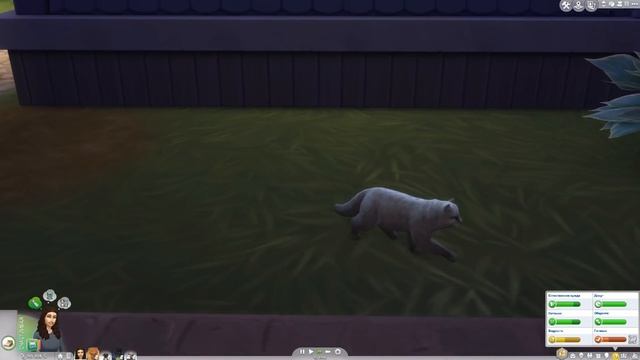 КОТЯТА МЭРА УСИКОВА - The Sims 4 "Кошки и Собаки" ▮ смотреть онлайн