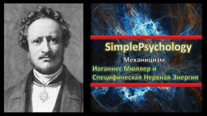 Механицизм. Мюллер и Специфическая нервная энергия.