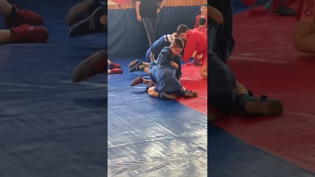 День борьбы г. Троицк борьба в партере #спортдети #самбо #тренировка смотреть онлайн