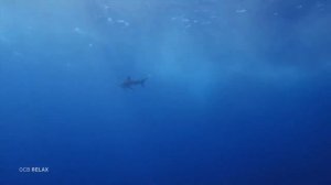 Под водой • Красивая расслабляющая музыка со звуками воды для сна и медитации