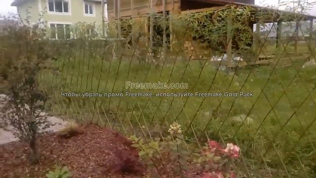Живая изгородь из ивы .Вертикальная