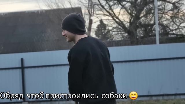 Каспера кастрировали  Убирали двор Сашка отжигает ?  Апргрейт  Моти и она ищет дом?