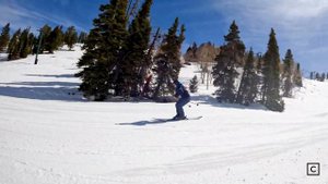 2023 Atomic Bent Chetler 120 Ski Review (2024 Same Tech; Different Graphic) | Curated