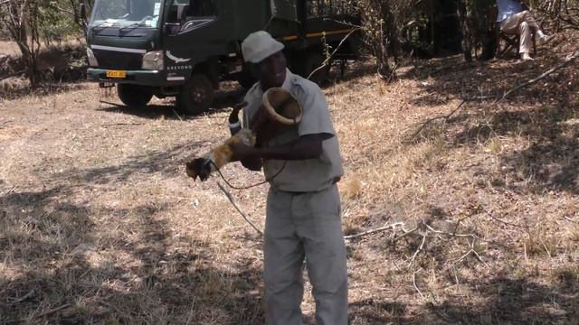 Народное творчество Танзании смотреть онлайн