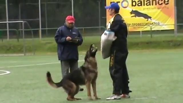 Dingo Iz Forta Vernogo C 93 смотреть онлайн