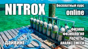Курс Nitrox Diver - бесплатный курс для дайверов.