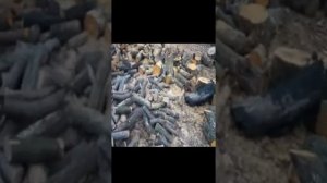 Купить дрова,вся правда о ситуации