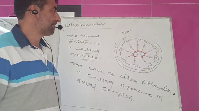 Cell biology ( 11th) lect.31 ( cillia/ flagella ) by Fayaz sir zoology ( HSS nehama ) sublime kul смотреть онлайн