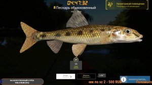 ТРОФЕЙНЫЙ ПЕСКАРЬ ОБЫКНОВЕННЫЙ .р.СЕВЕРСКИЙ ДОНЕЦ  - Русская Рыбалка 4.Russian Fishing 4.