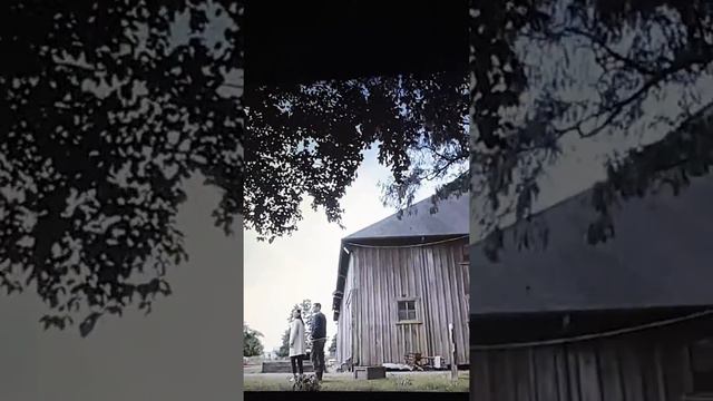 Ultra HD Триколор ТВ смотреть онлайн