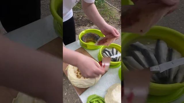 Белый амур в капусте на углях смотреть онлайн