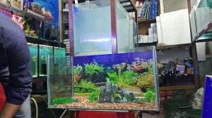 how to decorate aquarium back graund film instaling