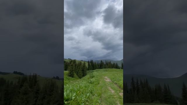 Природа в горах Казахстана. Плато Асы. 2500 meters above sea level. Kazakhstan. Nature. Summer 2022