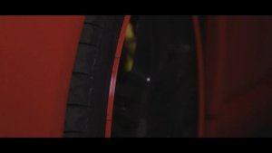 Alloygator - защита дисков от царапин (Хупперы) PROMO