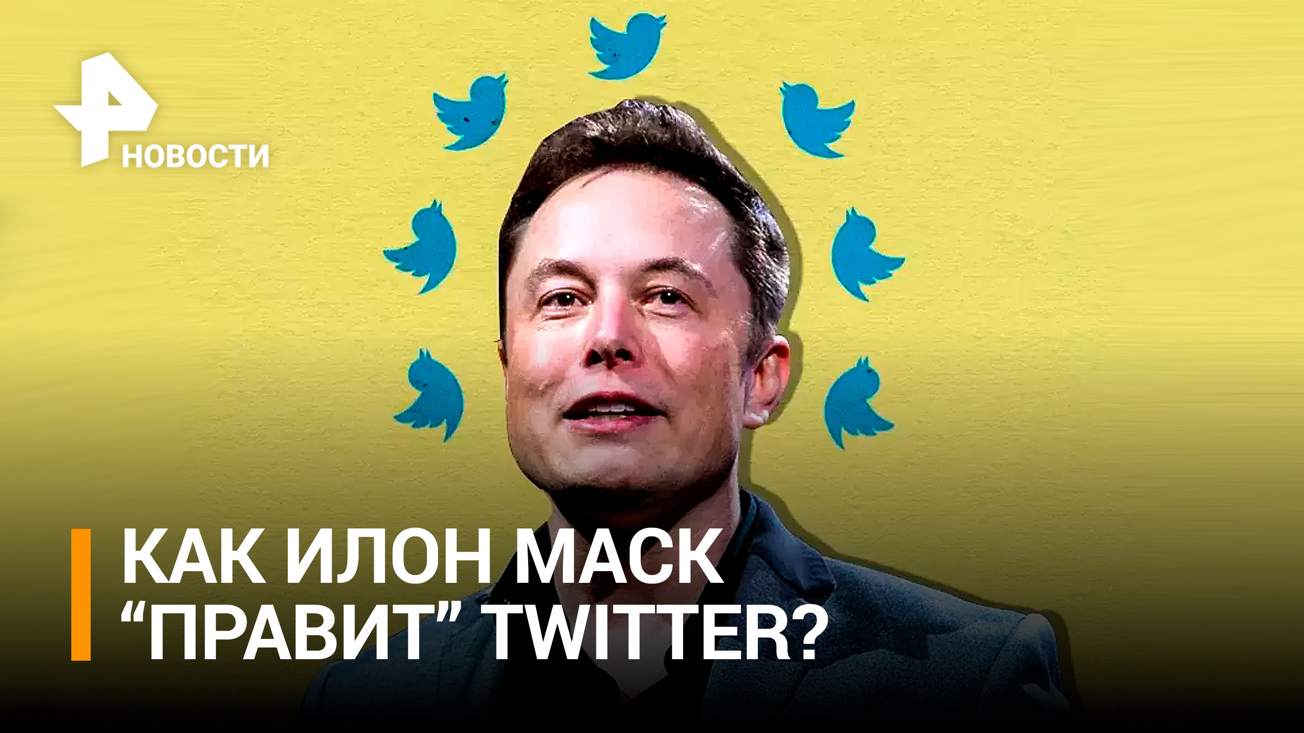 Маск распустил совет директоров Twitter / РЕН Новости