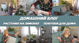 Домашний влог/Растения на зимовке/Покупки для дома.Уют от Любимого Василька