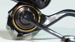 Обзор катушки Daiwa 21 Caldia LT 2500 S, артикул 10108-006