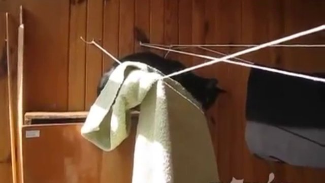 Возьму на всякий случай, вдруг опять искупают!)