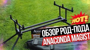 Обзор Род-пода для 3 удилищ  ANACONDA MAGIST Rod Pod!