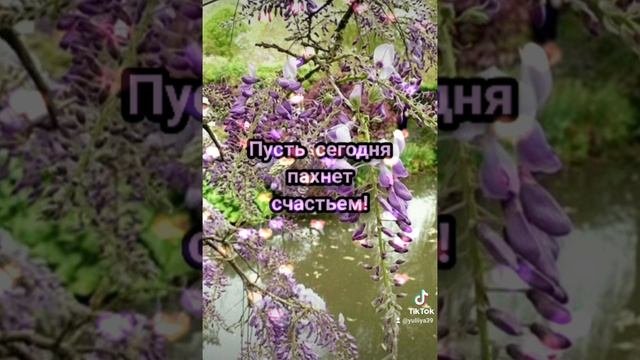 Музыкальная открытка