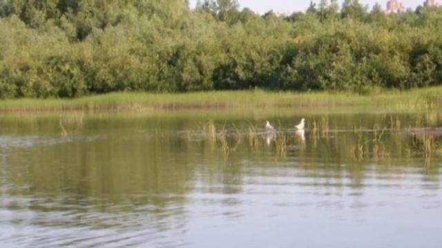 Моя Башкирия! Моя Уфа! смотреть онлайн